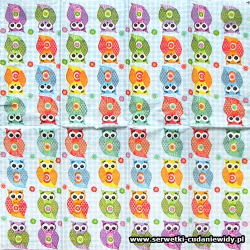 3291 Portrait Of Owls