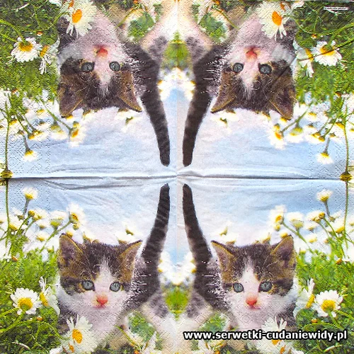 3312 Katt Blommor
