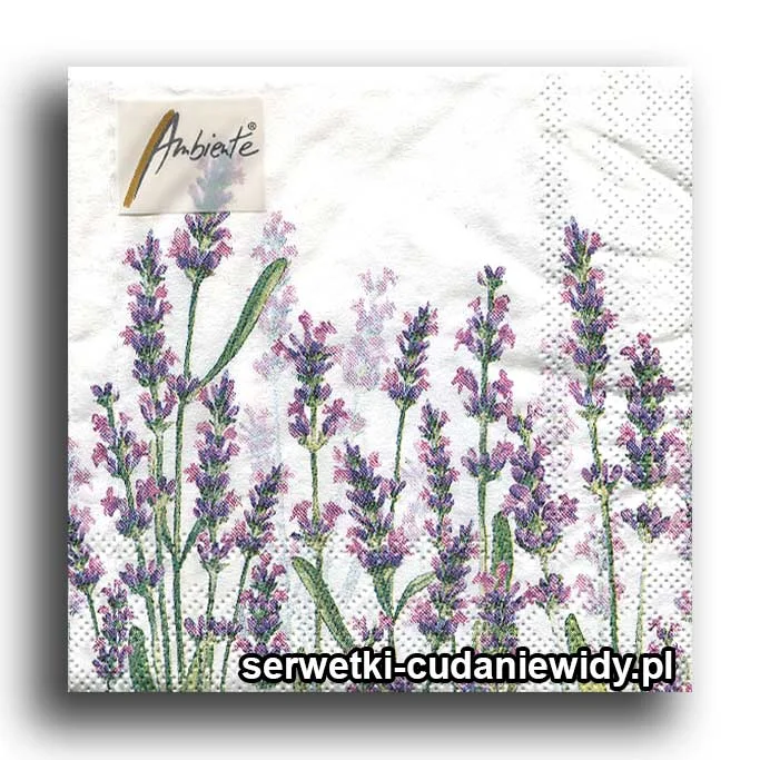 3333PACZKA Lawenda