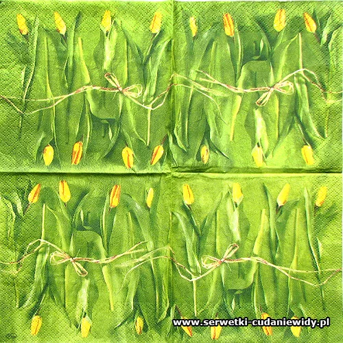 3350 Fresh Tulips