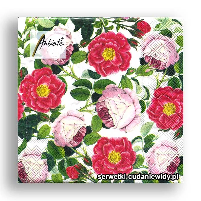 3367PACZKA Piękne Nowe Peonie