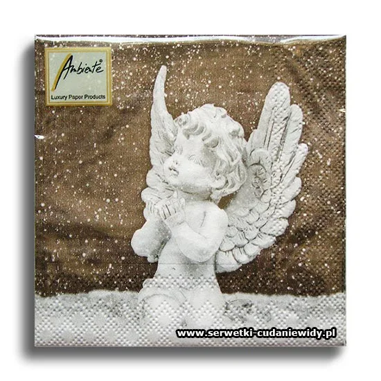 3412PACZKA Angel