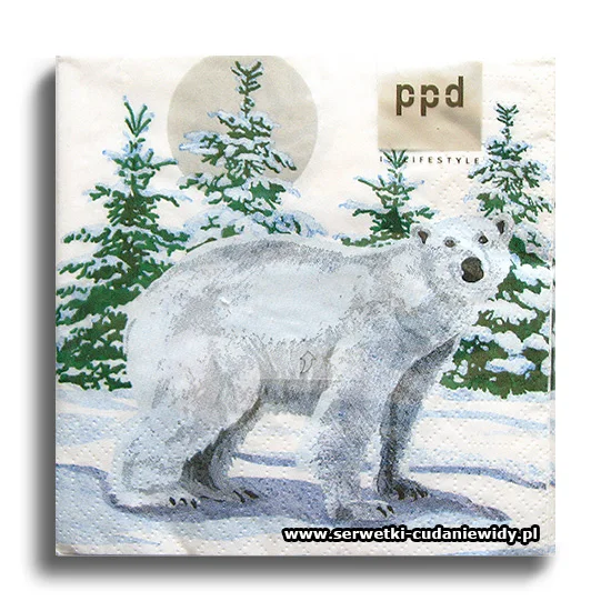 3427PACZKA Snow Bear
