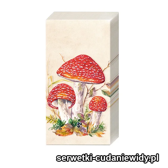 3449PACZKA Muchomory