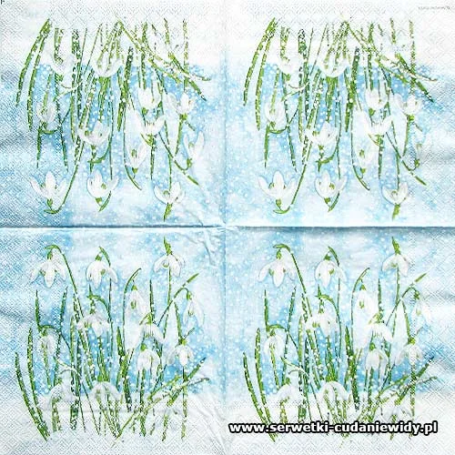3452 Snowdrops In Snow