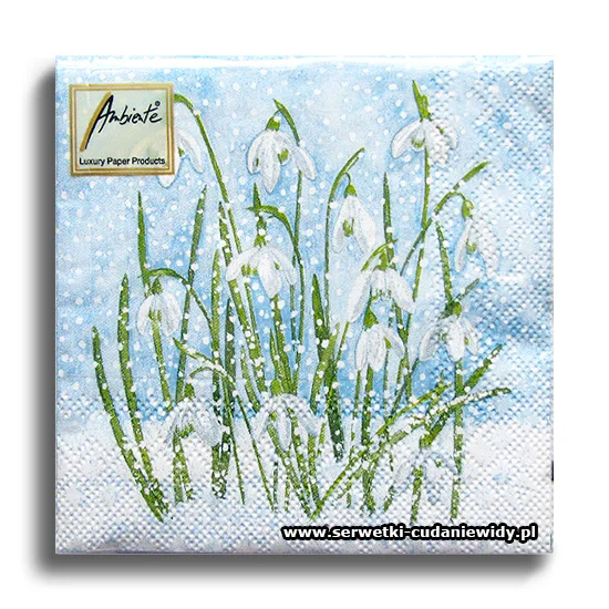3452PACZKA Snowdrops In Snow