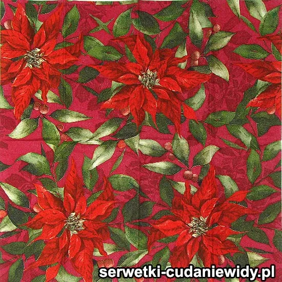 3500 Gwiazda Betlejemska