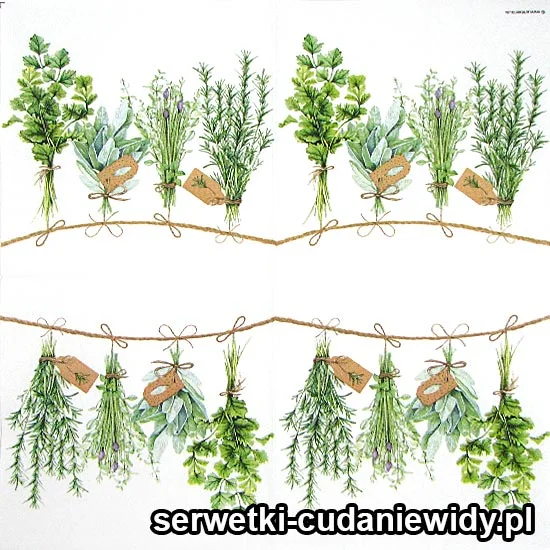 3536 Zioła W Kuchni