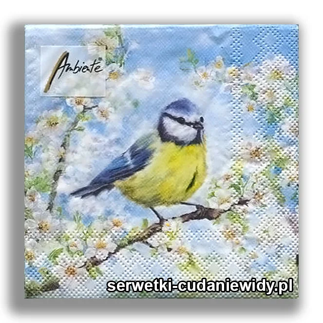 3562PACZKA Wiosna Nadchodzi