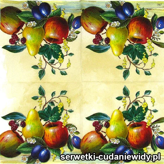 3568 Owoce Jak Malowane