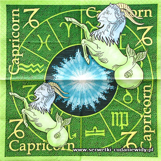 3569 Capricorn