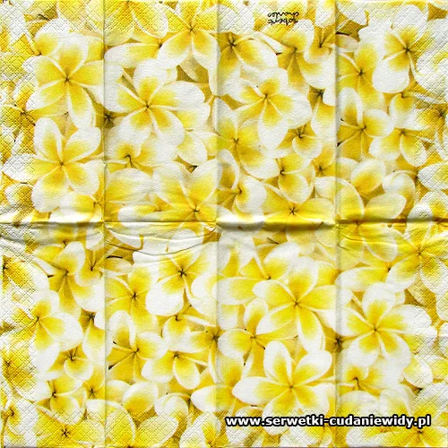 3593 Serwetki Do Decoupage