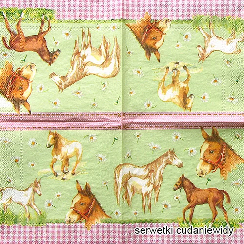 3634 My Little Horse