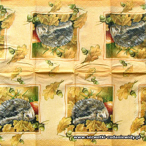 3641 Paper Design