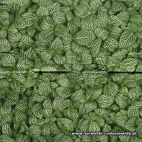 3649 Leaves