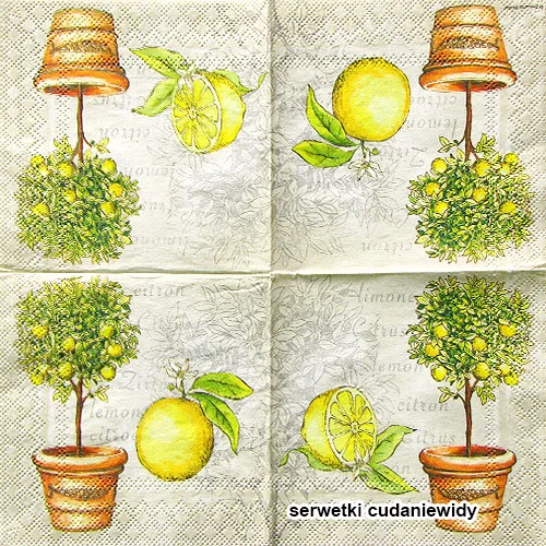 3655 Lemon Cream