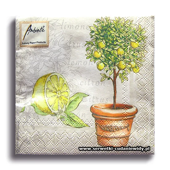 3655PACZKA Lemon Cream