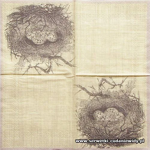 3702 Nest With Eggs