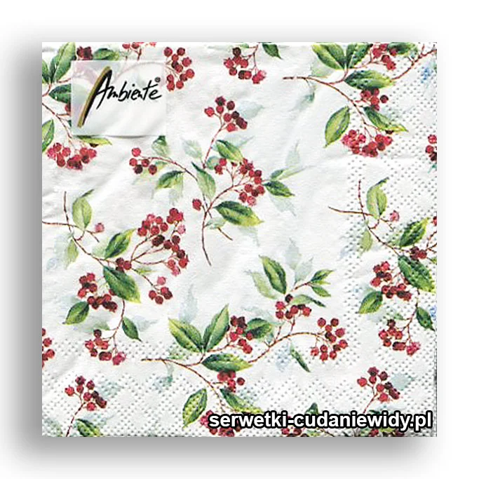 3725PACZKA Listowie Zimowe