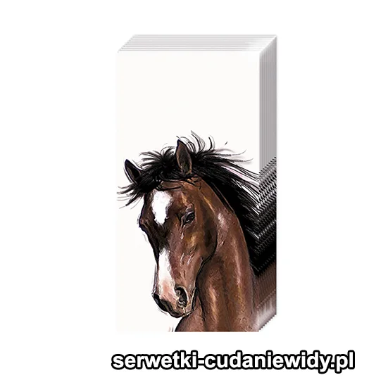 3758PACZKA Konie
