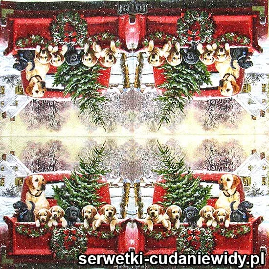 3827 Psy Zimowe