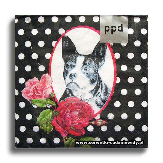 3877PACZKA Bulldog Parisien