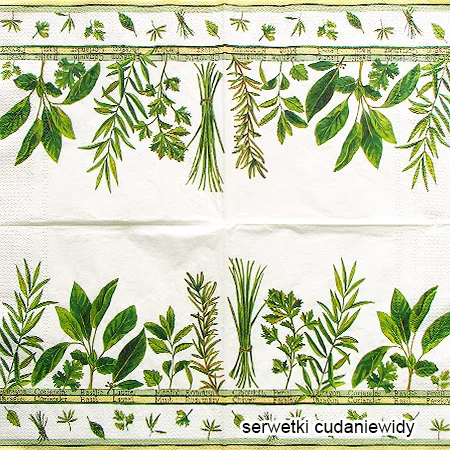 3885 Culinary Herbs