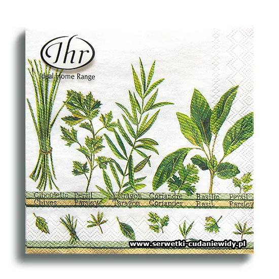 3885PACZKI Culinary Herbs