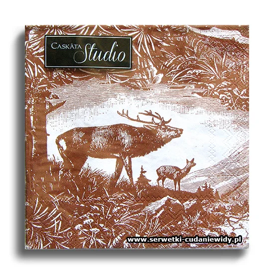 3896PACZKA Wildlife