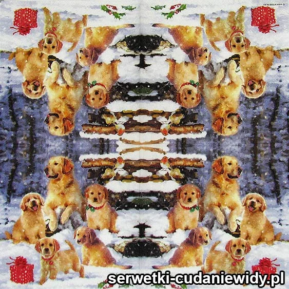 3897 Świąteczne Goldeny