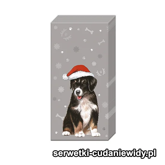 3908PACZKA I Wuff You