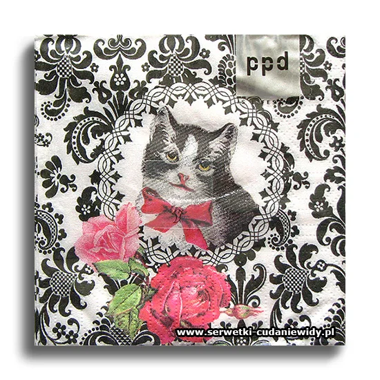 3911PACZKA Chat Parisien