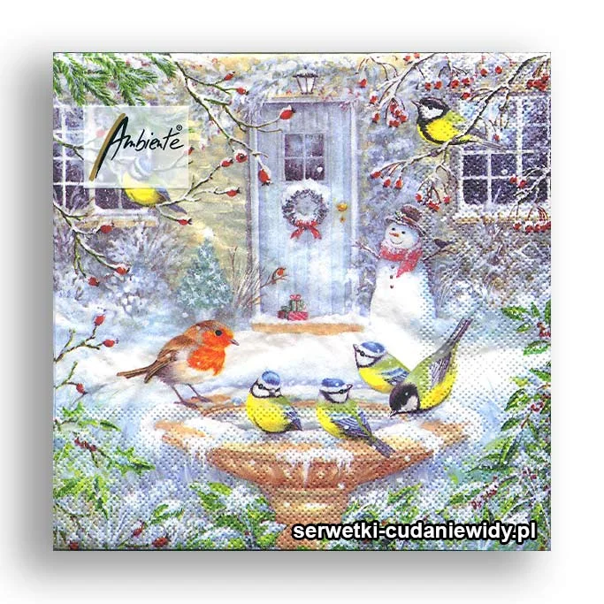 3926PACZKA Ptaszki W Kąpieli