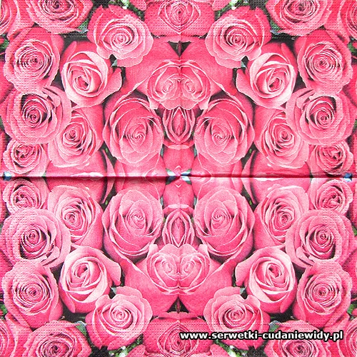 3934 Rose Rose