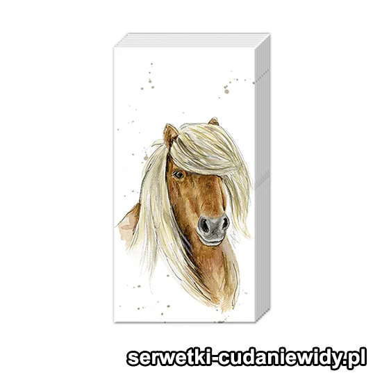 3941PACZKA Konie