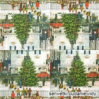 3971 Tree In Town Square