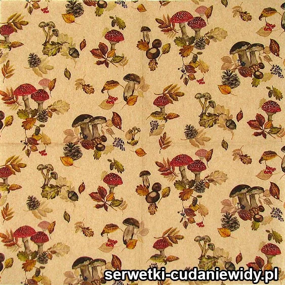 4003 Ekologiczne Grzyby