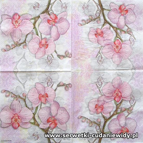 4029 Orchid Lilac