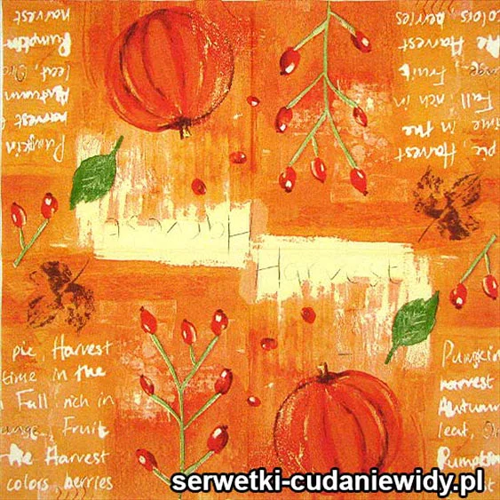40407 Serwetki Papierowe