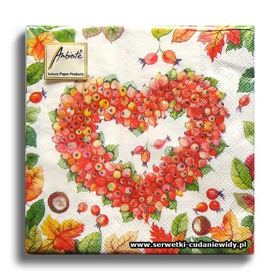 4040PACZKA Rosehip Heart