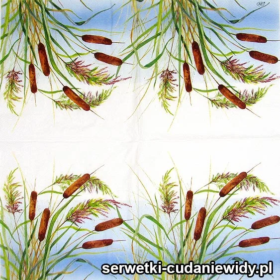4069 Pałki Wodne