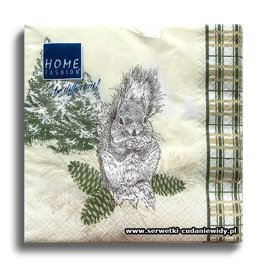4080PACZKA Squirrel