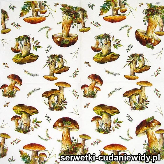 4087 GRZYBOBRANIE serwetki pojedyncze