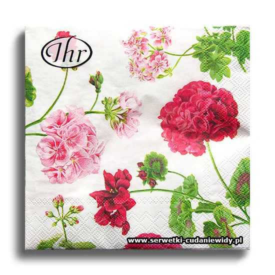 4088PACZKA Pelargonie