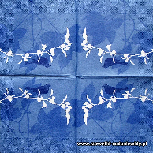 4100 Serwetki Decoupage