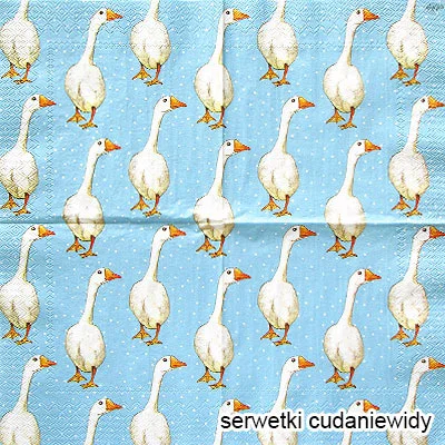 4126 Martin Light Blue