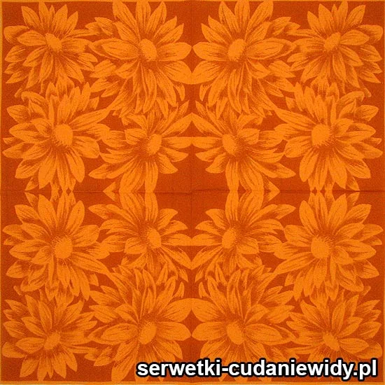 41596 Piękne Serwetki