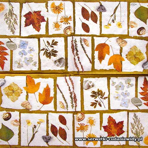 4167 My Herbarium