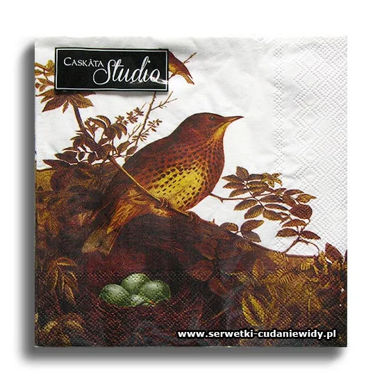 4186PACZKA Bird`s Nest