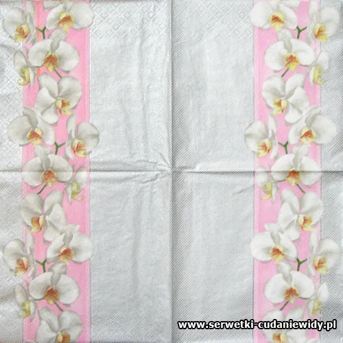 4188 Tender Orchid On Pink